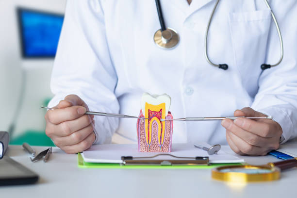 Best Cosmetic Emergency Dentistry in Potomac, MD